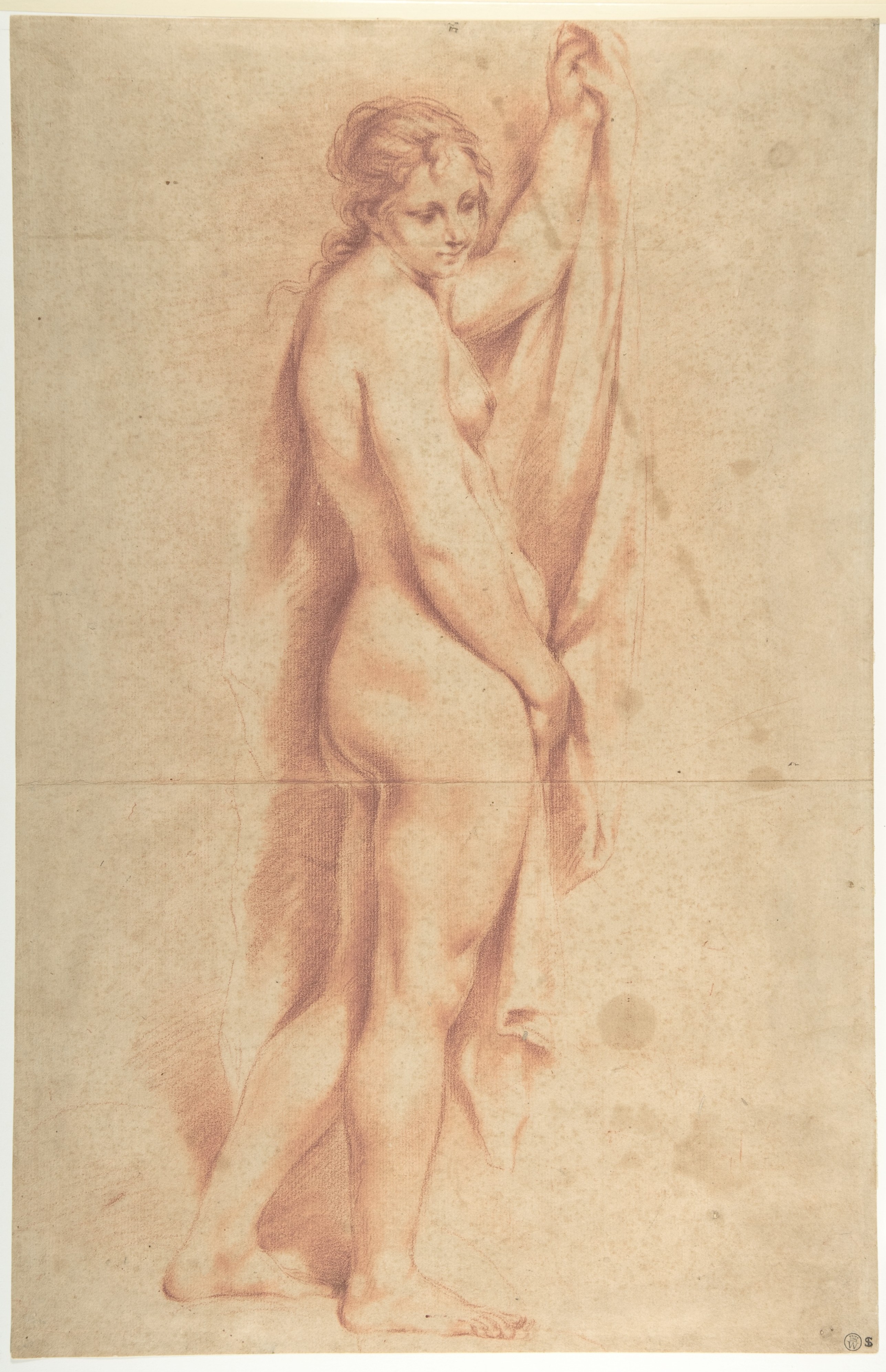 Standing Nude Female Figure